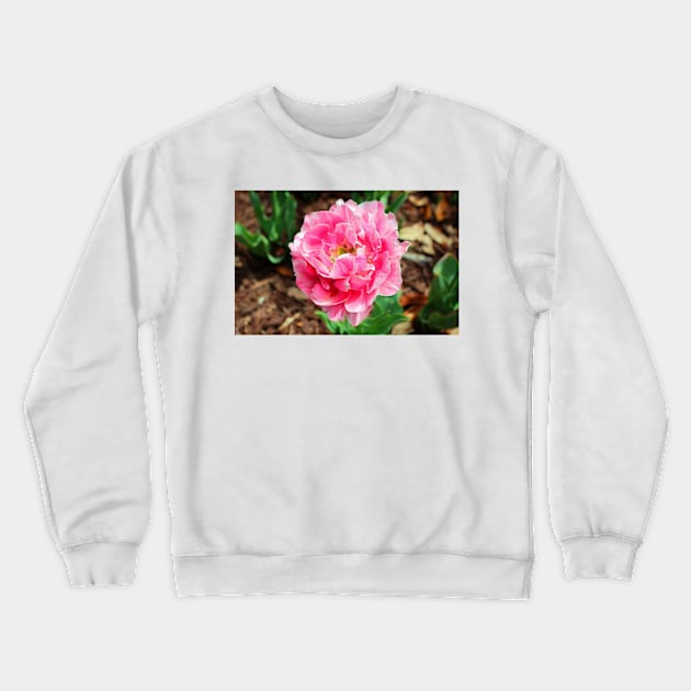 Double Late Tulip Crewneck Sweatshirt by Cynthia48